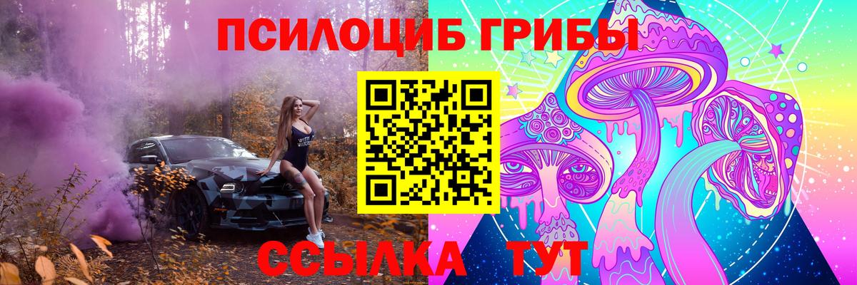 Кушва  Галлюциногенные грибы мицелий  Псилоцибиновые грибы Psilocybe  Вход с VPN 