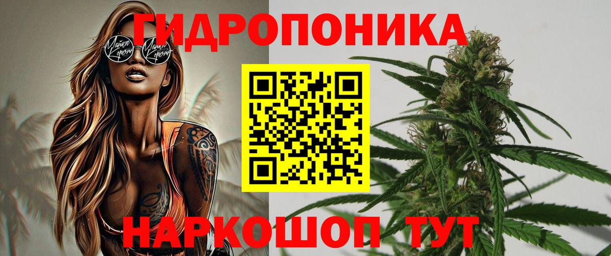 Кушва  Бошки марихуана планчик  Вход с VPN  Шишки марихуана White Widow 